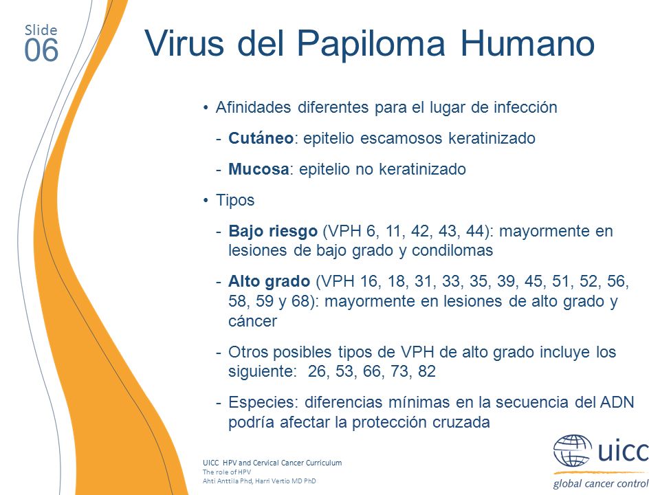 determinantes de la eliminación de las infecciones por el virus del papiloma humano